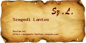 Szegedi Lantos névjegykártya